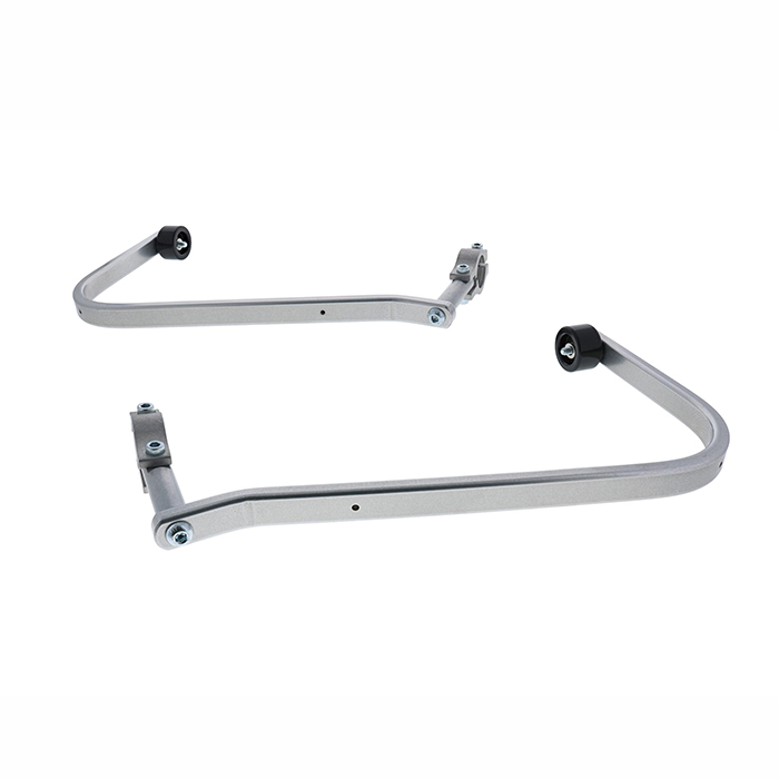 Daisy on the Ohoopee